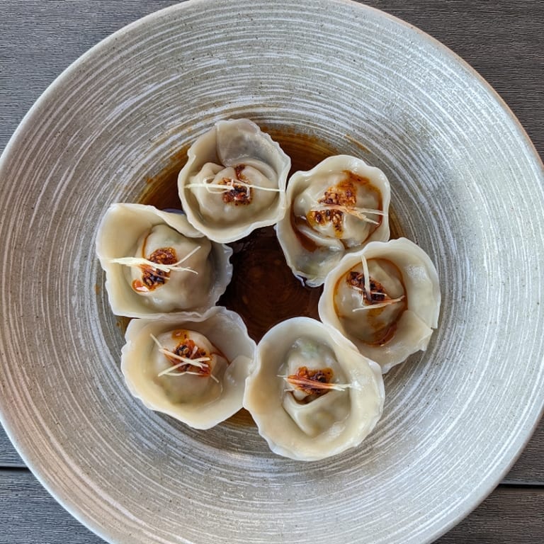 Delicious Dumplings: A Taste of Asia